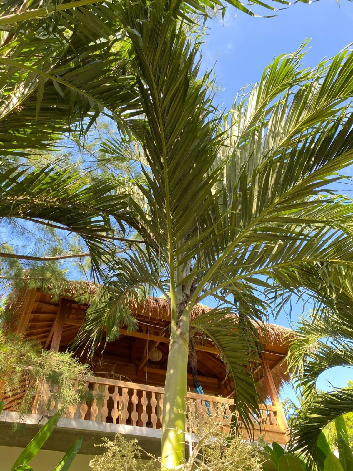 Palm Green Hotel Kuta  Ngoại thất bức ảnh
